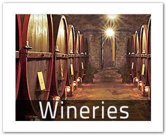 chianti wine tasting and chianti winery tours